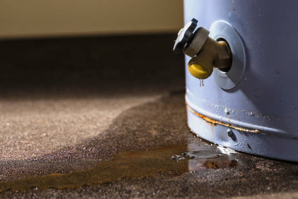 Best Fire Damage Restoration  in Brush Prairie, WA
