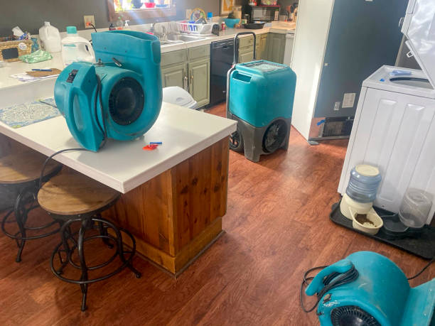 Best Carpet water damage restoration  in Brush Prairie, WA