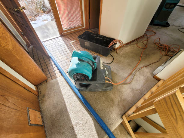 Best Water damage restoration near me  in Brush Prairie, WA