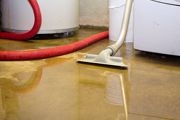 Best Sewage cleanup and water damage restoration  in Brush Prairie, WA
