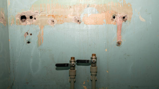 Best Basement water damage restoration  in Brush Prairie, WA