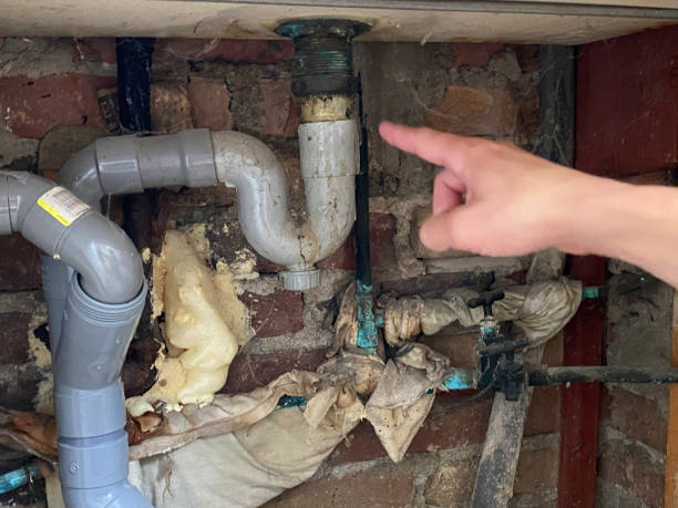 Best Water damage restoration services  in Brush Prairie, WA